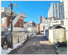  2024Ÿ��98586  ���ð��