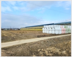  2024Ÿ��100878  ����