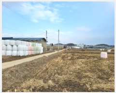  2024Ÿ��100878  ����