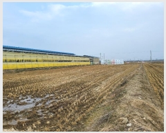  2024Ÿ��100878  ����