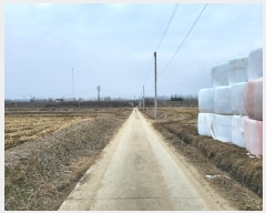  2024Ÿ��100878  ����