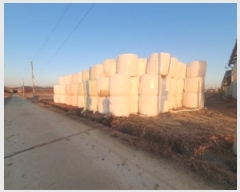  2024Ÿ��100878  ����