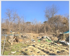  2024Ÿ��101192 ��� ȭ���� ��ź�� ��õ�� ��85      ����(�Ӿ�)���