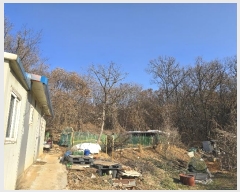  2024Ÿ��101192 ��� ȭ���� ��ź�� ��õ�� ��85      ����(�Ӿ�)���