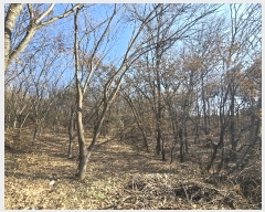  2024Ÿ��101192 ��� ȭ���� ��ź�� ��õ�� ��85      ����(�Ӿ�)���