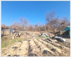  2024Ÿ��101192 ��� ȭ���� ��ź�� ��õ�� ��85      ����(�Ӿ�)���