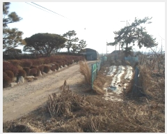  2024Ÿ��103983  �Ӿ߰��