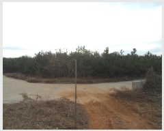  2024Ÿ��103983  �Ӿ߰��