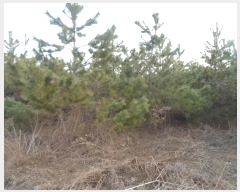  2024Ÿ��103983  �Ӿ߰��