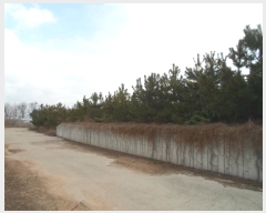  2024Ÿ��103983  �Ӿ߰��