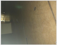  2024Ÿ5310   д籸 925 16, 2 155ȣ    ,繫ǰ