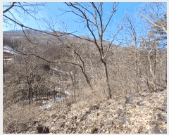  2024Ÿ��6696 ��� ���ֽ� �������� ���̸� ��120-8      ����(�Ӿ�)���