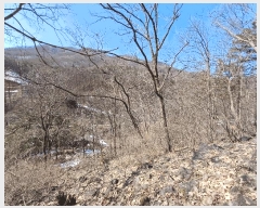  2024Ÿ��6696 ��� ���ֽ� �������� ���̸� ��120-8      ����(�Ӿ�)���