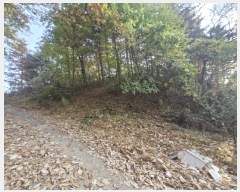  2024Ÿ��6726 ��� ������ �д籸 ������ 114-4      ����(�Ӿ�)���