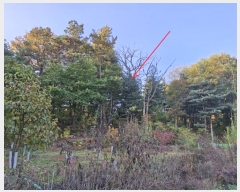  2024Ÿ��6726 ��� ������ �д籸 ������ 114-4      ����(�Ӿ�)���