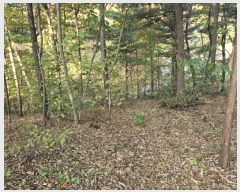  2024Ÿ��6726 ��� ������ �д籸 ������ 114-4      ����(�Ӿ�)���