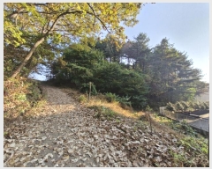  2024Ÿ��6726 ��� ������ �д籸 ������ 114-4      ����(�Ӿ�)���