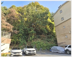  2024Ÿ��6726 ��� ������ �д籸 ������ 114-4      ����(�Ӿ�)���