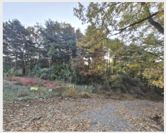  2024Ÿ��6726 ��� ������ �д籸 ������ 114-4      ����(�Ӿ�)���