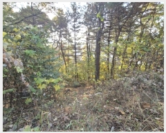  2024Ÿ��6726 ��� ������ �д籸 ������ 114-4      ����(�Ӿ�)���