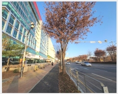  2024Ÿ��6986  ����Ʈ��������