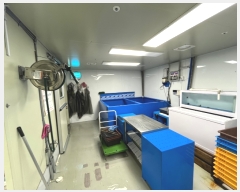  2024Ÿ51962  ϳ ̻簭 25, 1106ȣ (ǳ굿,̻׽ŸŸĻ)     Ʈ