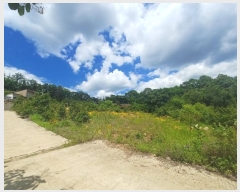  2024Ÿ56554  ֽ ̸  79-13      (Ӿ)