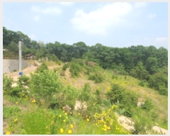  2024Ÿ56554  ֽ ̸  79-13      (Ӿ)