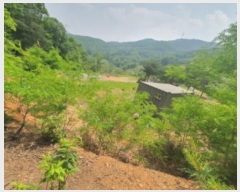  2024Ÿ56554  ֽ ̸  79-13      (Ӿ)