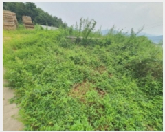  2024Ÿ62689  ֽ ̸ 縮 251-16      (Ӿ)