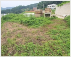  2024Ÿ62689  ֽ ̸ 縮 251-16      (Ӿ)