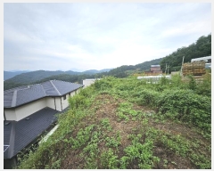  2024Ÿ62689  ֽ ̸ 縮 251-16      (Ӿ)