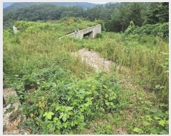  2024Ÿ62689  ֽ ̸ 縮 251-16      (Ӿ)