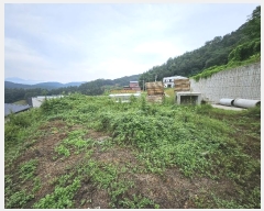  2024Ÿ62689  ֽ ̸ 縮 251-16      (Ӿ)