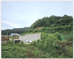  2024Ÿ62689  ֽ ̸ 縮 251-16      (Ӿ)