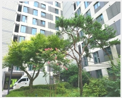  2024Ÿ64333  ֽ ȱ1 25, 406 3302ȣ (,Ѽ׶󽺿4)    Ʈ