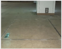  2024Ÿ5327   д籸 925 16, 2 169ȣ    ,繫ǰ