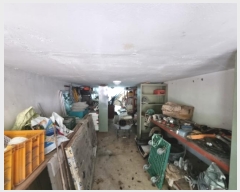  2024Ÿ��5631  ���ð��