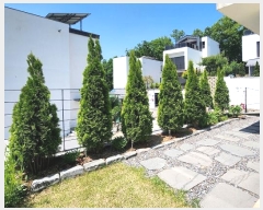  2024Ÿ��54459 ��� ���ֽ� ȸ���� 356-62       ���ð��