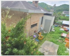  2024Ÿ��61709  ���ð��