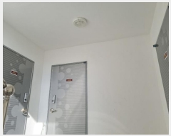  2024Ÿ66346  ֽ  675-4       ٰð