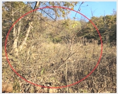  2024Ÿ68991  ֽ ô 󸲸 123      (1)