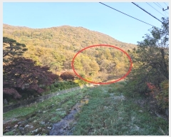  2024Ÿ68991  ֽ ô 󸲸 123      (1)