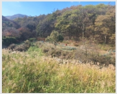  2024Ÿ68991  ֽ ô 󸲸 123      (1)