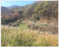  2024Ÿ68991  ֽ ô 󸲸 123      (1)