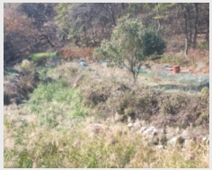  2024Ÿ68991  ֽ ô 󸲸 123      (1)