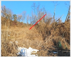  2024Ÿ��71010  �Ӿ߰��