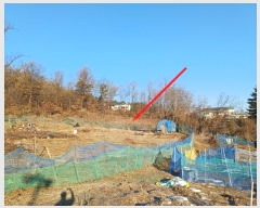  2024Ÿ��71010  �Ӿ߰��