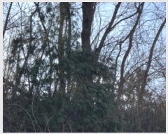  2024Ÿ��71010  �Ӿ߰��