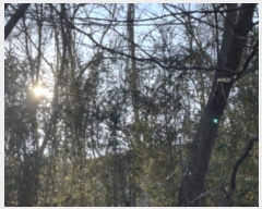  2024Ÿ��71010  �Ӿ߰��